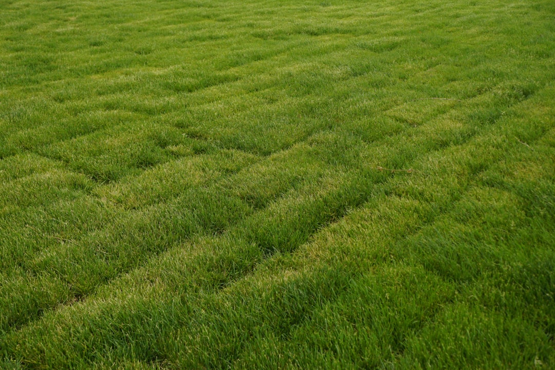 المبيدات الحشرية